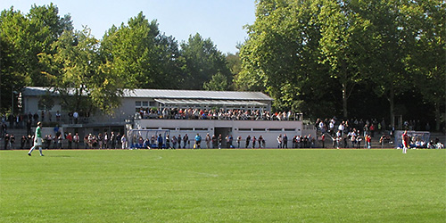 Неккарзульм Pichterichstadion