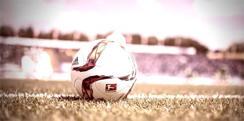 ���������� 2015/2016. ����� ����