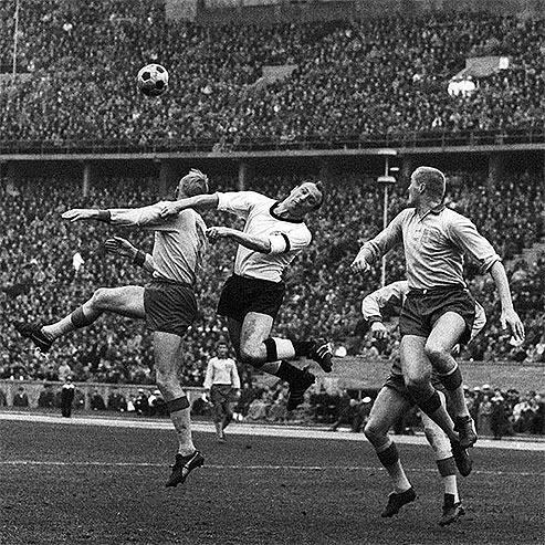 ������� ظ�. ������ ���� � �������� �������. �������� � ������